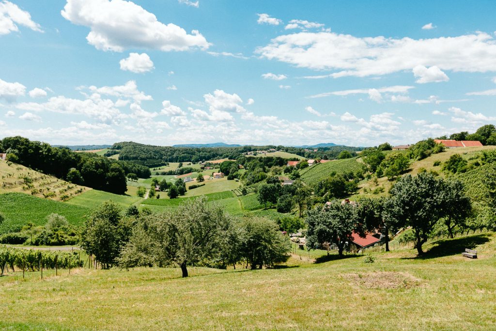 Claudia+Dominik - CD-Hochzeit-Traeumerei-001.jpg