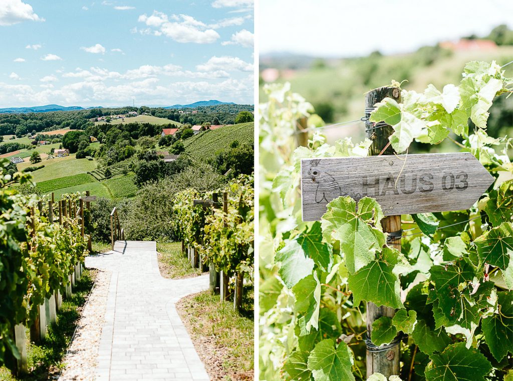 Claudia+Dominik - CD-Hochzeit-Traeumerei-002.jpg