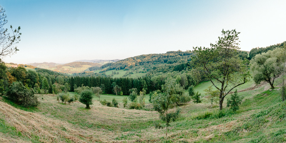 Irene+Wolfgang - IW-Hochzeit-Refugium-Hochstrass-066.jpg
