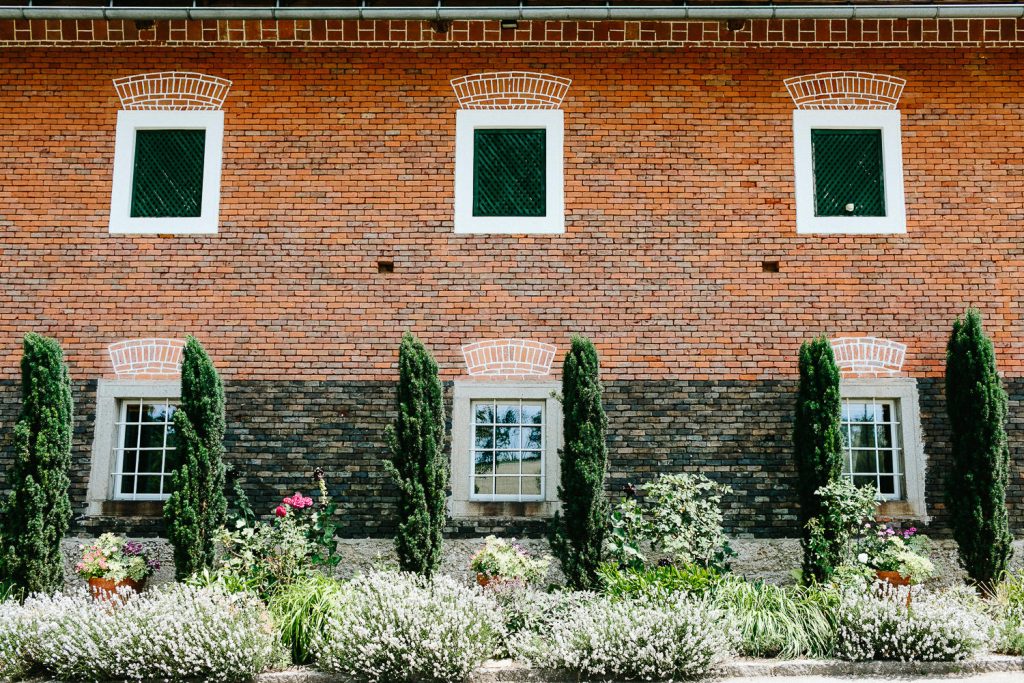 Theresa+Matthias - TM-Hochzeit-Kletzmayrhof-032.jpg