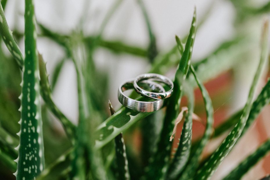 Julia+Daniel - JD-Hochzeit-Weingut-Holler-019.jpg