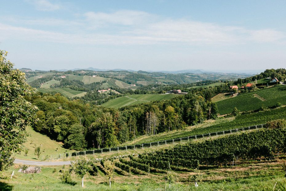Marina+Stefan - MS-Hochzeit-Weingut-Holler.jpg-001.jpg