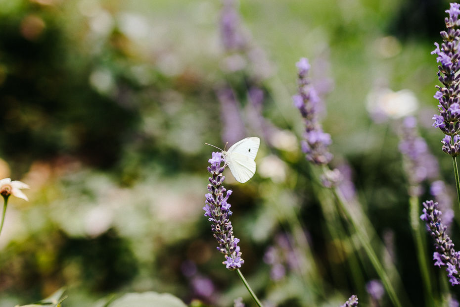 Valentina+Matthias - VM-Hochzeit-Schlosspark-Mühlbach-am-Manhartsberg-048.jpg